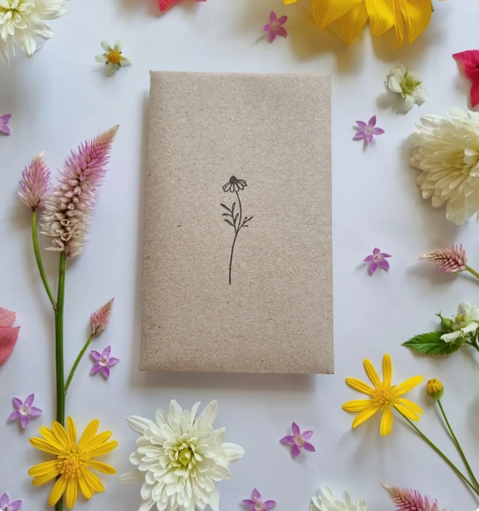 Bee Kind Low Growing Flower Mix