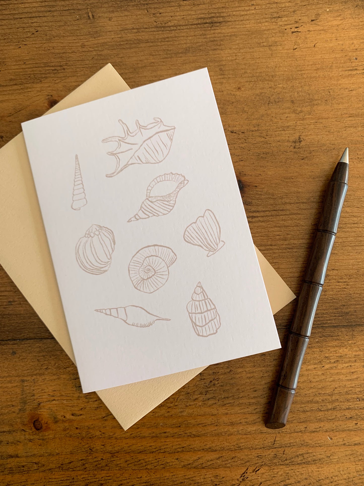 blank lightly textured greeting card sea shells with pen & envelope