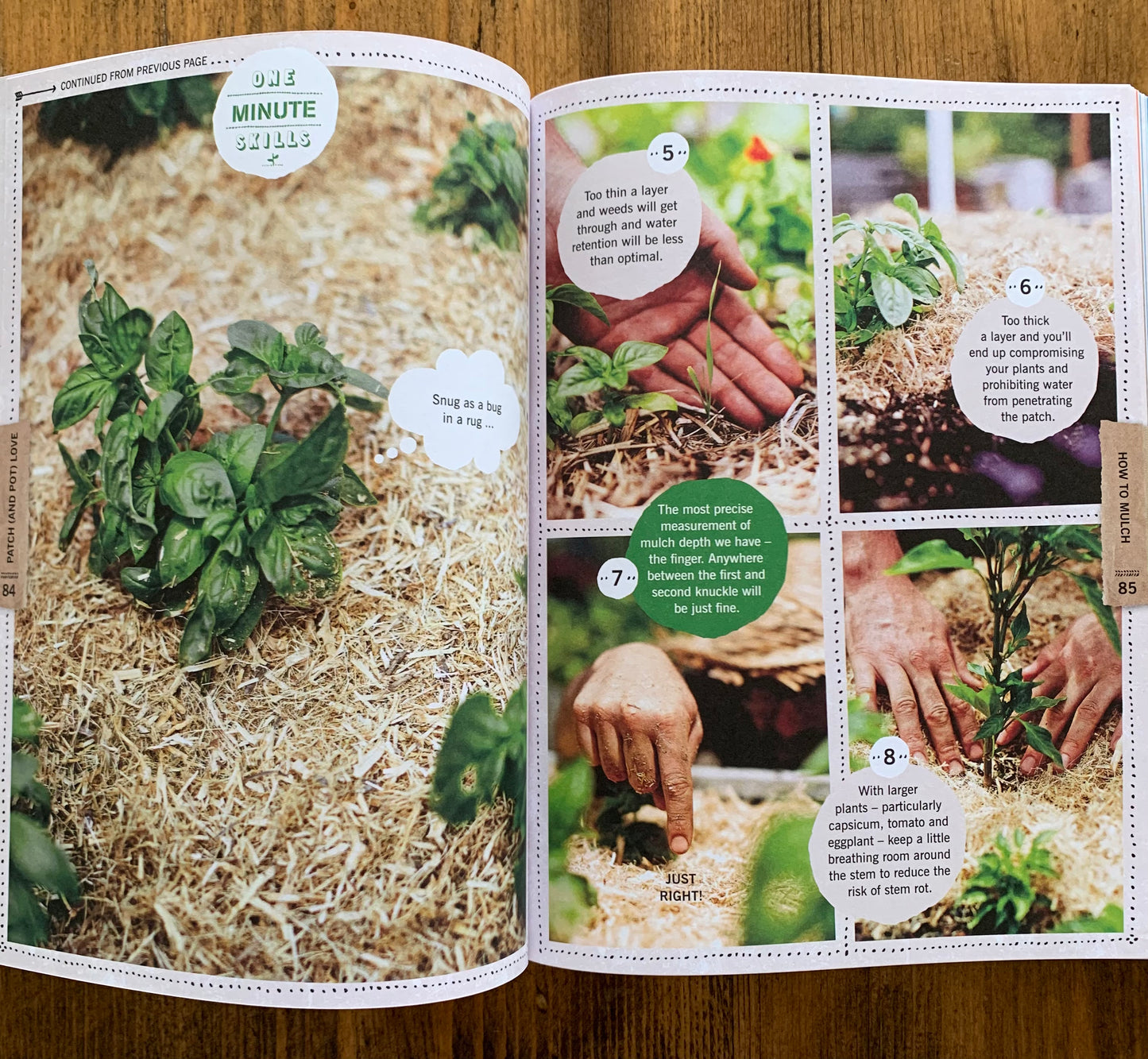 one minute skills on how to mulch your veggie patch well