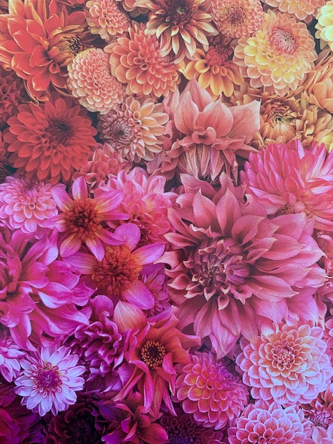 Floret Farm's Cut Flower Garden Double Sided 500 Piece Puzzle