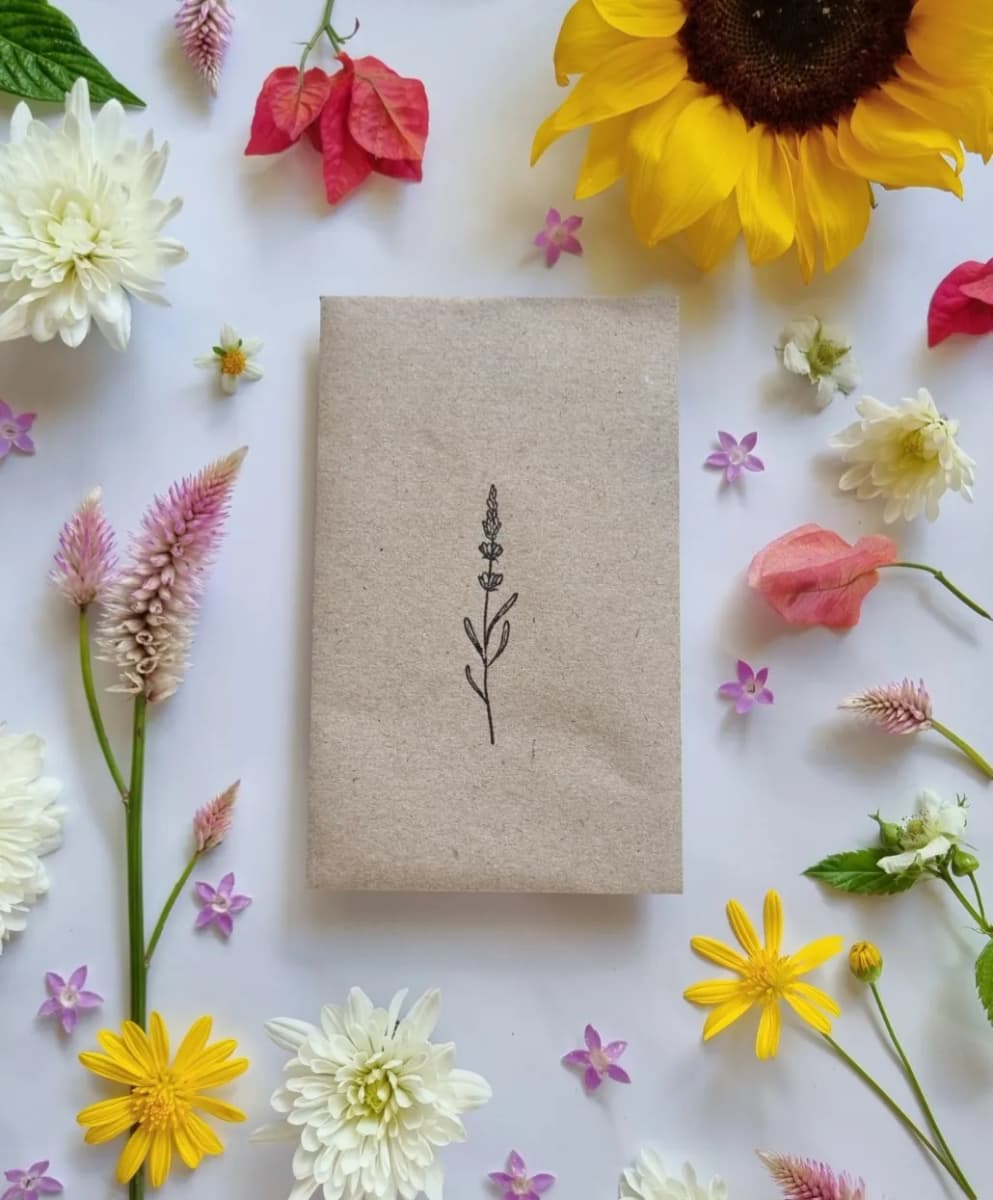 Bee Kind Edible Flower Seed Mix