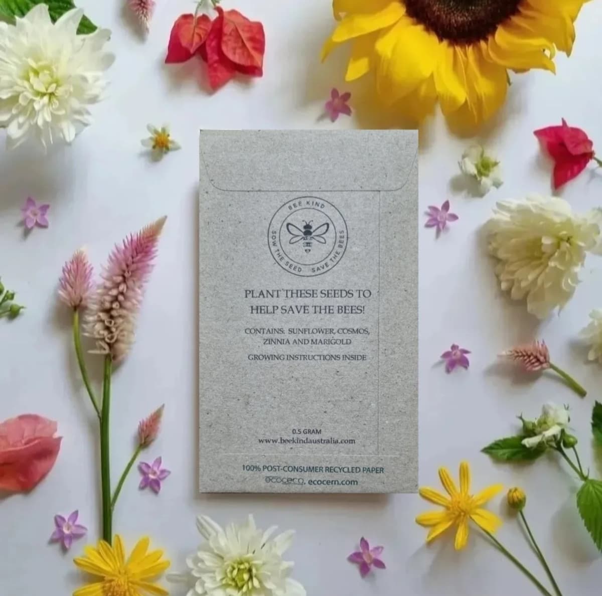 Bee Kind Teachers Plant Seeds that Grow Forever Mix